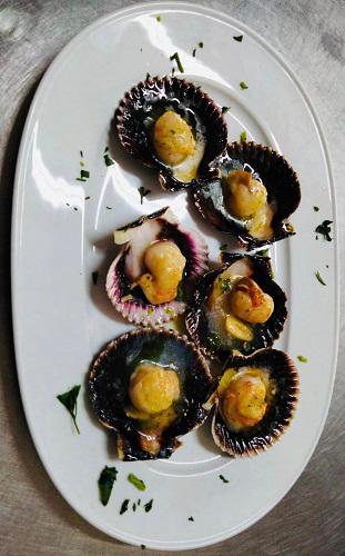 Restaurante Agaponi-8